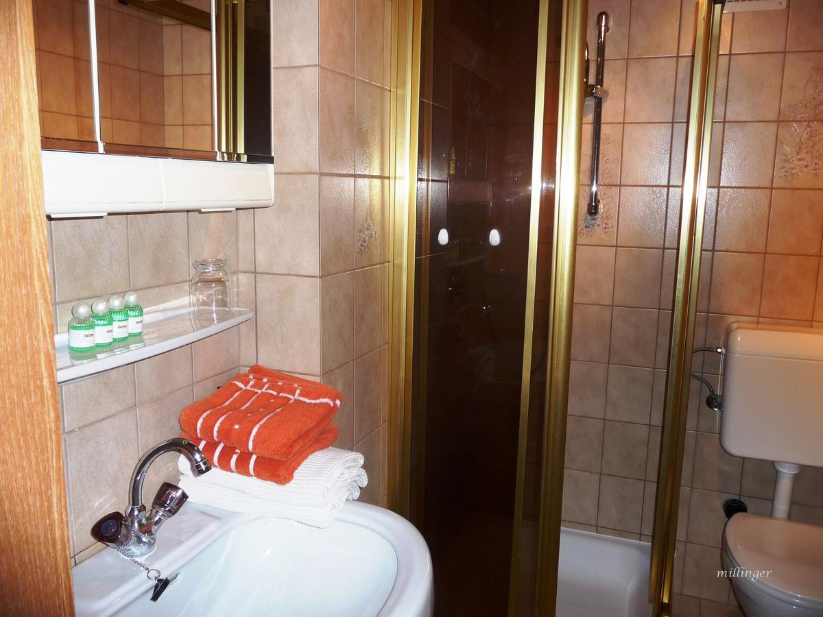 Millinger Appartements Waidring Ngoại thất bức ảnh